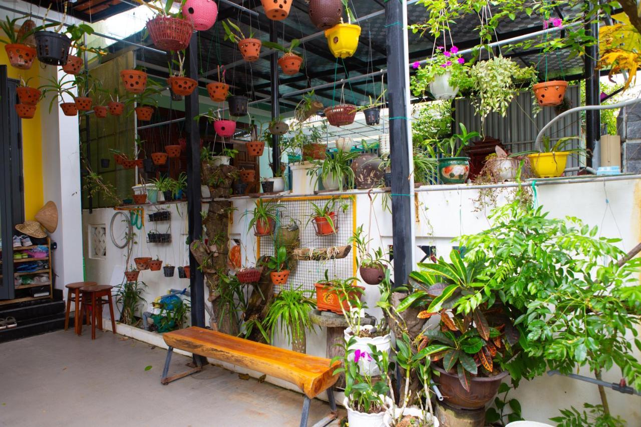 Coral Riverside Homestay & Hostel Hoi An Eksteriør billede